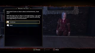 Neverwinter - Level 23 Human Paladin / Three More in the Enclave (Xbox One)
