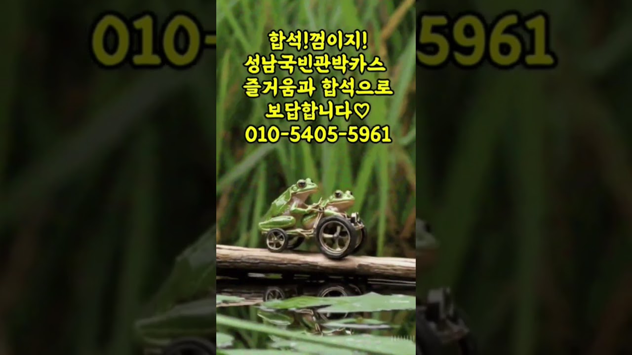 성남국빈관 #길동찬스 #성남샴푸 - YouTube