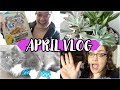 I Tried Weekly Vlogging (aka bedbound for most of April)