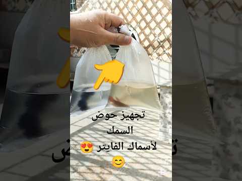 الحمد لله افتكرت اهم حاجة في تجهيز حوض السمك لأسماك الفايتر رأيك يهمنا