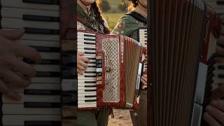 Sanfonando na Boiada#intretenimento #sertanejo #sanfona #acordeon
