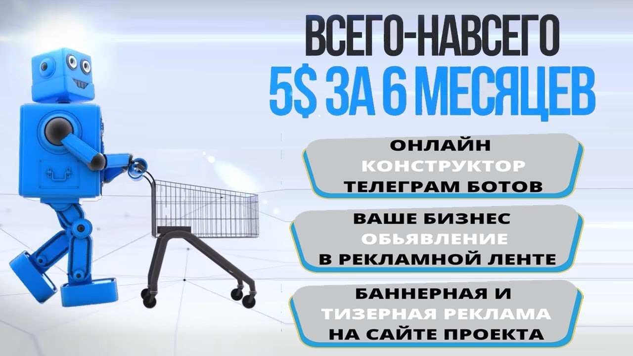 Сделать бизнес проект бот
