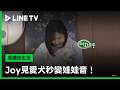 《我獨自生活》#JOY 見愛犬秒變娃娃音😍 - 20260515期(下)精彩片段｜LINE TV 線上看