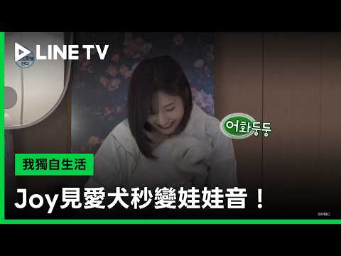 I Live Alone: #JOY switches to baby talk the moment she sees her dog😍 - 05/15/2026 Episode (Part ...
