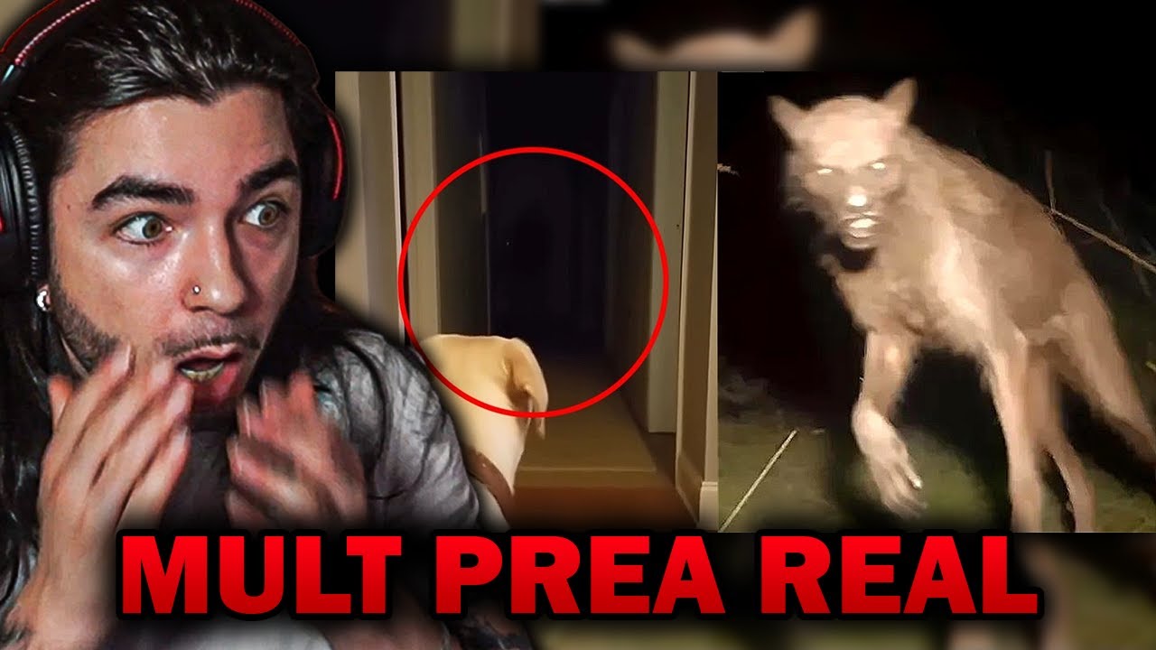 TheRealRed reactioneaza la Fenomene Paranormale Pe Care Nu Trebuie Sa Le Vezi