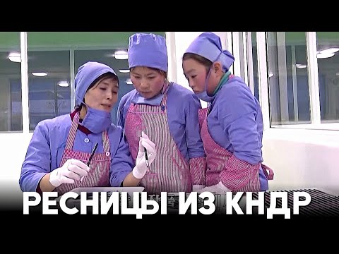 Как магазины мира наводняют накладные ресницы из КНДР