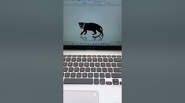 TIGER 🐅 MS Word Symbol Shortcut Key #shorts #computer #tiger #asmr #keyboard #tricks #msword
