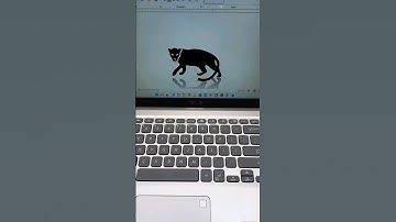 TIGER 🐅 MS Word Symbol Shortcut Key #shorts #computer #tiger #asmr #keyboard #tricks #msword