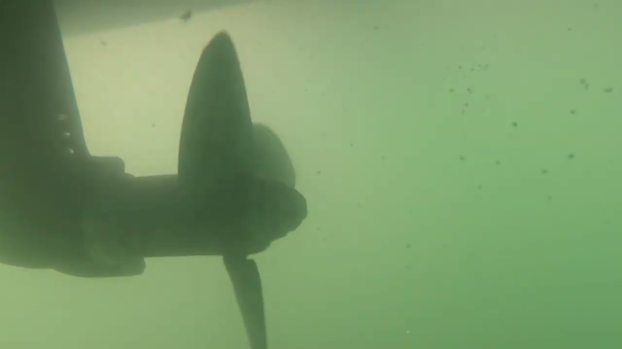 Solitude After 2025.12.08