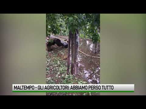 Video Distrutti due terzi delle colture: spettro chiusura per molte aziende