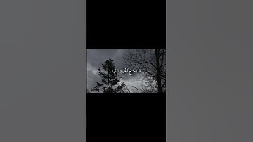 أَرَضِیتُم بِٱلۡحَیَوٰةِ ٱلدُّنۡیَا مِنَ ٱلۡـَٔاخِرَةِۚ |سورة التوبة|المنشاوي| #quran #المصحف #قرآن