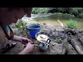 Catch and Cook / Flyfishing Remote NC Mountains