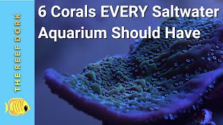6 Corals EVERY Marine Tank Should Have!
