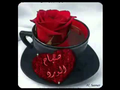 رضيت بالله ريا 2