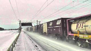 【JR貨】3099レ EF81-501 糠沢