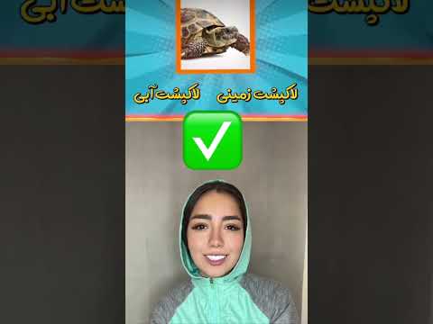 این حیوون ها رو درست حدس زدی چالش