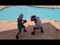 MIGHTY MOUSE VS. HEAVYWEIGHT MEXICAN (pool knock out)
