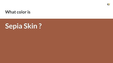 Sepia Skin color #9f5c42 hex color - Brown color - Cool color 9f5c42