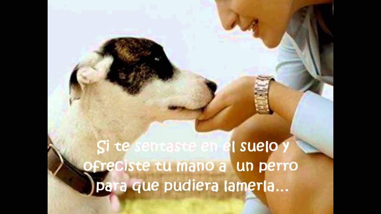 EL TAMAÑO DE LAS PERSONAS.-William Shakespeare - YouTube
