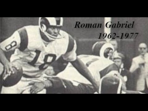 Video: Roman Gabriel Net Worth