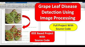 Grape Leaf Disease Detection Using Image Processing Code | Leaf Disease Detection Using Matlab Code