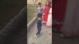 THIS IS A CAMEL NOT A CAMAN | FUN WITH SHEES BABA| 360 ZOO DHA