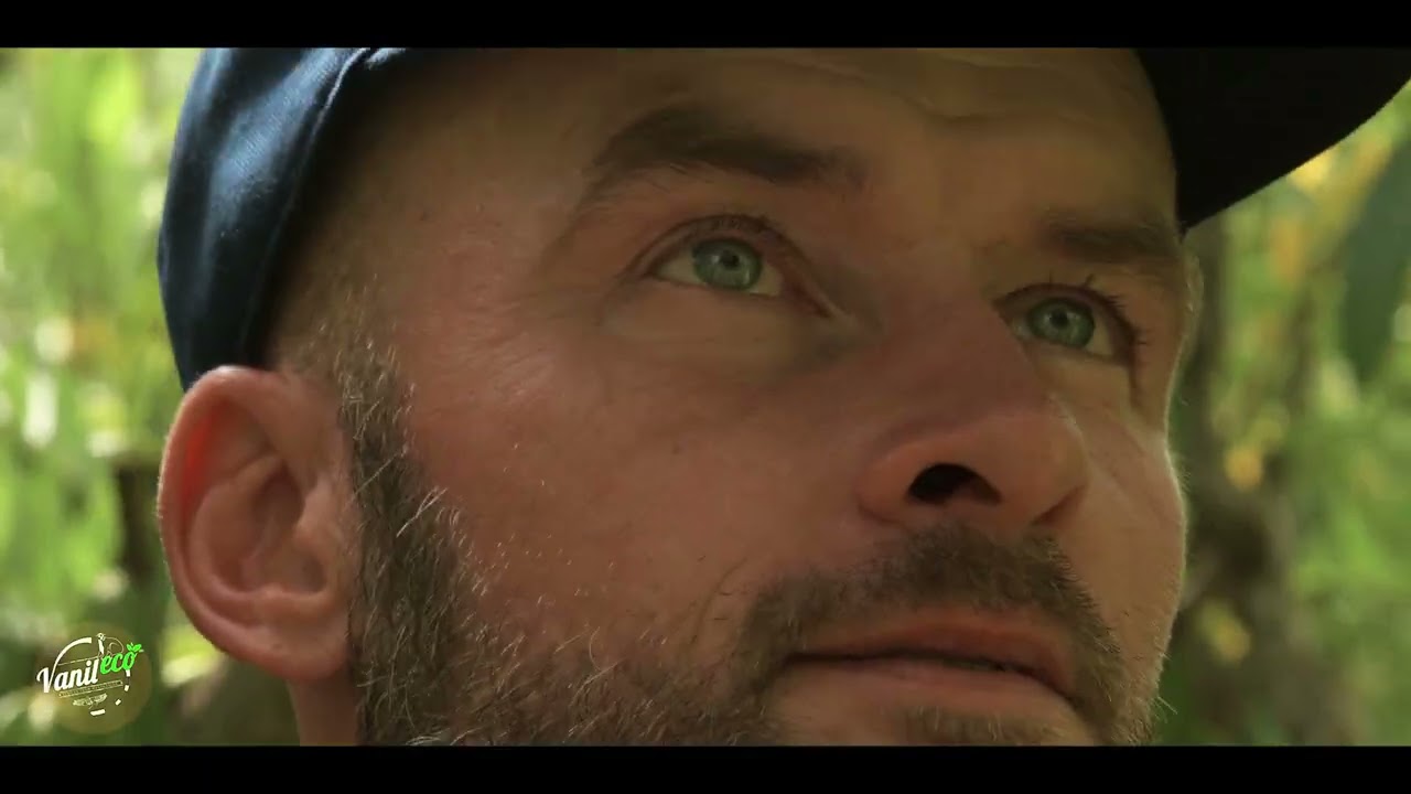 "How Vanilla Grows: The Climbing Orchid Behind the World's Favorite Flavor"