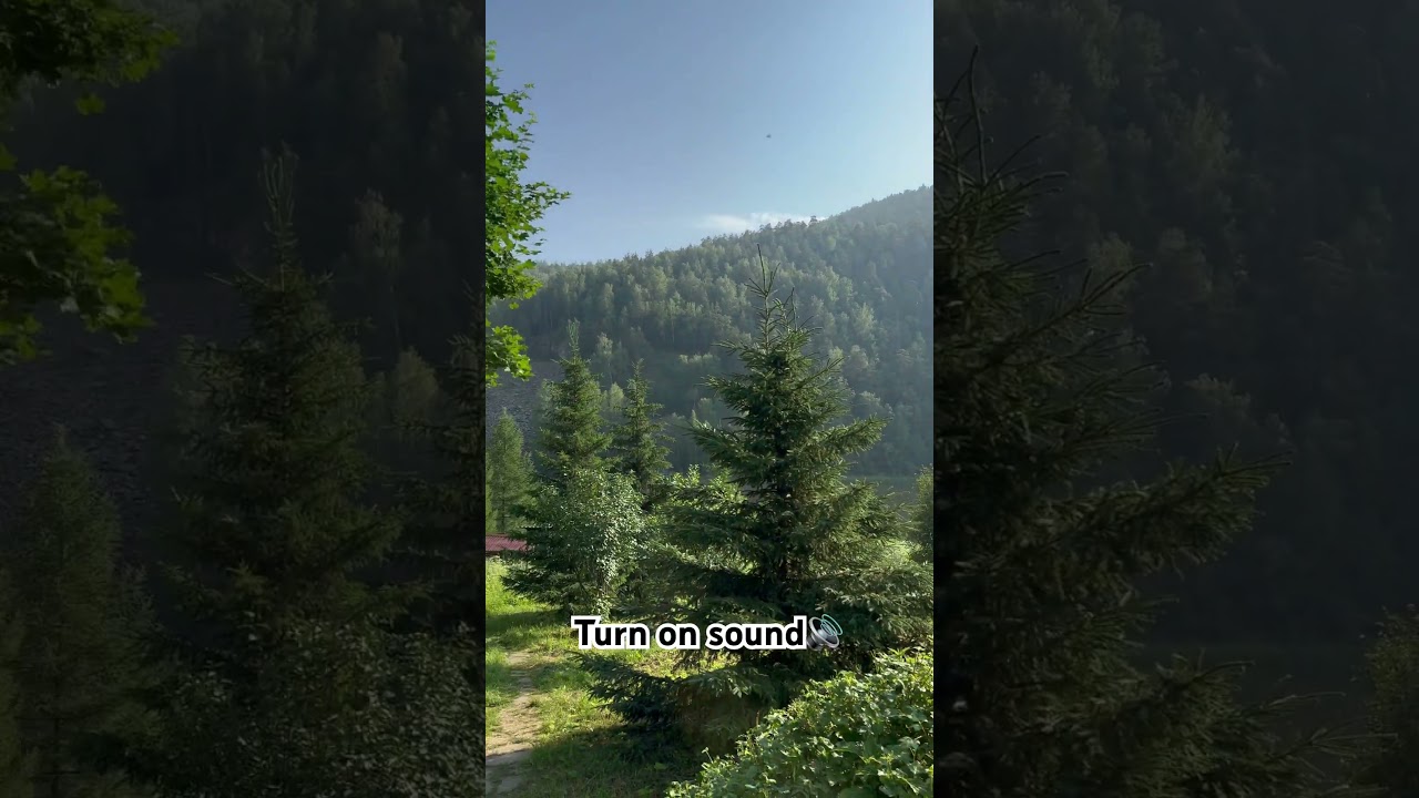 Не забудь выбраться на природу этим летом🫵🏿 