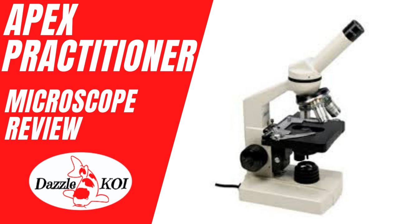The best microscope for Koi pond scrapes? (Apex Practitioner) YouTube