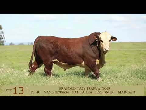 LOTE 13   N069