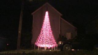 Mega tree test 9/23/2011