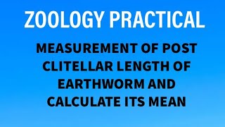 ZOOLOGY PRACTICAL.MEASURE THE POST CLITELLAR LENGTH OF EARTHWORM AND CALCULATE ITS MEAN.//BSc//MSc
