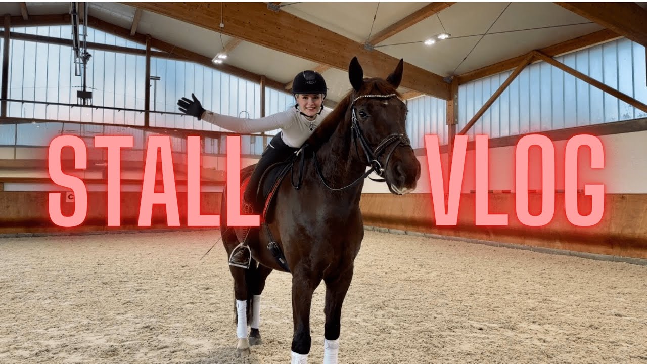 Stall Vlog 🦄 Reitausschnitte, Neue Kamera?!