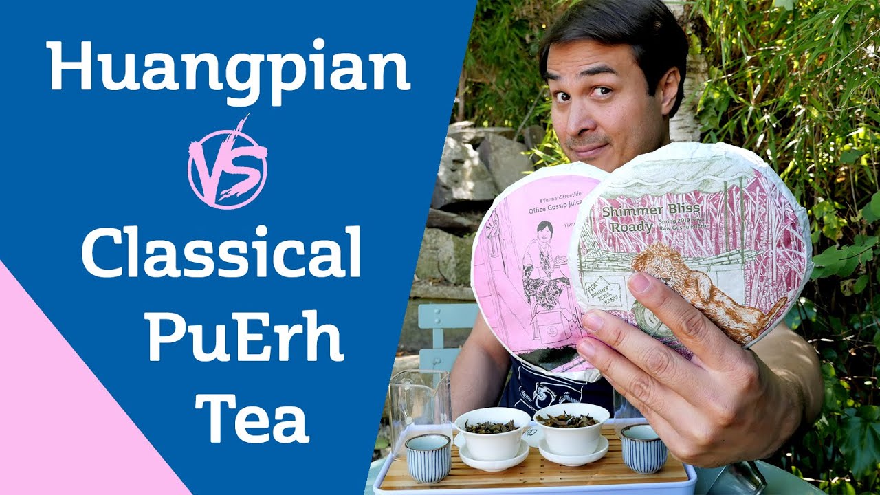 GUSHU PUERH TEA - Huangpian vs Traditional Style GUSHU PUERH TEA - Huangpian vs Traditional Style