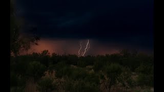🌧️🌿 Rainforest Thunder Ambience | Relax, Sleep, Study & Stress Relief | 24/7 Live Stream ⚡
