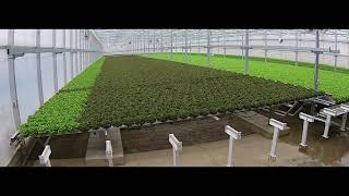 Great Lakes Growers Introduction