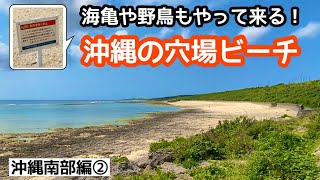 海亀注意 沖縄の穴場ビーチ 海亀や野鳥もやって来る 沖縄南部編 Youtube