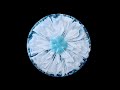 #1032 WAS NOT EXPECTING THAT! Unbelievable Effects In This 3D Resin Flower Bloom