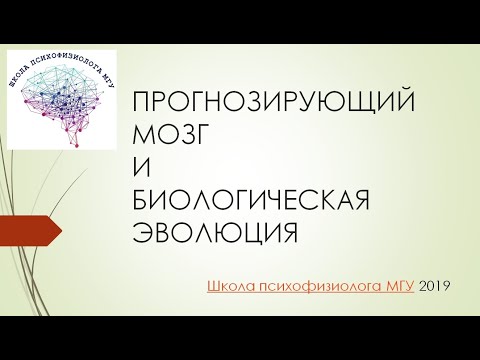 Дьяконова В.Е. Прогнозирующий мозг и биологическая эволюция. Школа психофизиолога МГУ, 06.11.2019.