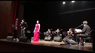 Serhad Raşa &Livaneliorkestrası Hoşgeldin Kadınım