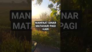 Manfaat Sinar Matahari Pagi Hari #shorts #manfaatsinarmatahari #shortsvideo  #short