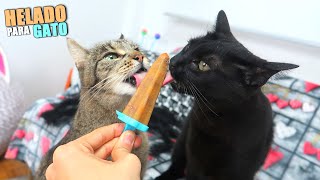 HELADOS PARA GATO