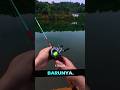 test joran baru ‼️ #viralvideo #shortvideo #memancing #ikan #mancing #casting #strike