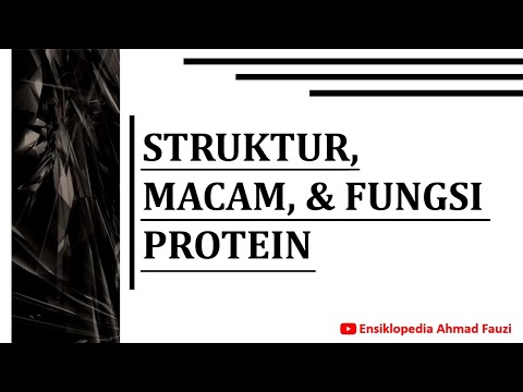 Video: Protein manakah yang tidak memiliki struktur kuartener?