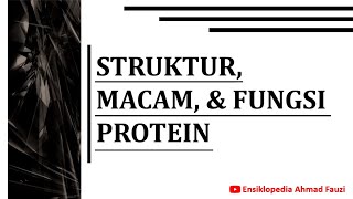 Struktur, Macam, dan Fungsi Protein