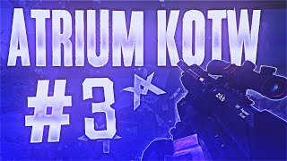 Atrium KOTW #3