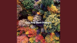 Modish Music for Sleeping Well