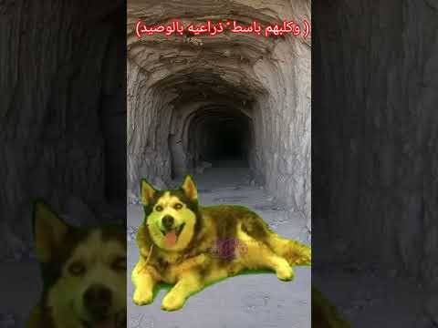 معنى كلمة الوصيد في قوله تعالى وكلبهم باسط ذراعيه بالوصيد 