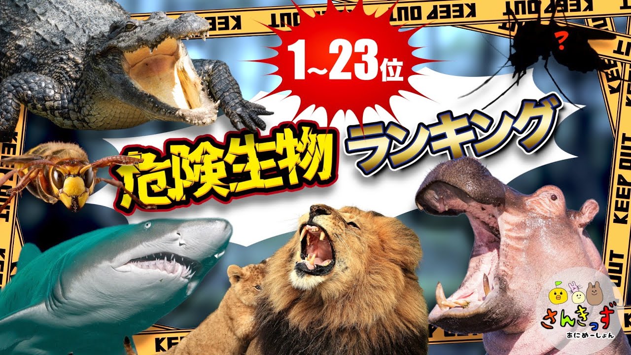 危険生物ランキングTop23】危険な生き物ランキング 1位はとっても身近 