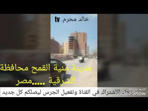 مدينة منيا القمح الشرقية مصر      